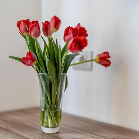 Apartamento Casa Don Mimi