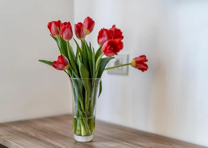 Apartament Casa Don Mimi